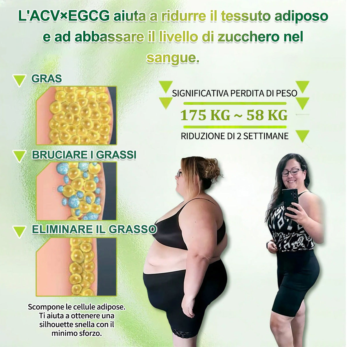 【𝐍𝐮𝐨𝐯𝐚 & 𝐅𝐨𝐫𝐦𝐮𝐥𝐚 𝐌𝐢𝐠𝐥𝐢𝐨𝐫𝐚𝐭𝐚🍏】𝐏𝐮𝐫𝐞𝐥𝐨𝐫𝐚® 𝐀𝐂𝐕 × 𝐄𝐆𝐂𝐆 𝐏𝐚𝐭𝐜𝐡 𝐀𝐯𝐚𝐧𝐳𝐚𝐭𝐨 𝐍𝐚𝐧𝐨 𝐌𝐢𝐜𝐫𝐨𝐧𝐞𝐞𝐝𝐥𝐞 𝟏𝟎-𝐢𝐧-𝟏 ✅𝐈𝐧𝐝𝐢𝐜𝐚𝐭𝐨 𝐩𝐞𝐫: 𝐨𝐛𝐞𝐬𝐢𝐭à, 𝐩𝐞𝐥𝐥𝐞 𝐫𝐢𝐥𝐚𝐬𝐬𝐚𝐭𝐚, 𝐝𝐢𝐚𝐛𝐞𝐭𝐞, 𝐚𝐩𝐧𝐞𝐚 𝐝𝐞𝐥 𝐬𝐨𝐧𝐧𝐨, 𝐝𝐢𝐬𝐭𝐮𝐫𝐛𝐢 𝐚𝐫𝐭𝐢𝐜𝐨𝐥𝐚𝐫𝐢 𝐞 𝐦𝐨𝐥𝐭𝐨 𝐚𝐥𝐭𝐫𝐨